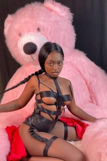 4342556348, female escort, Scranton